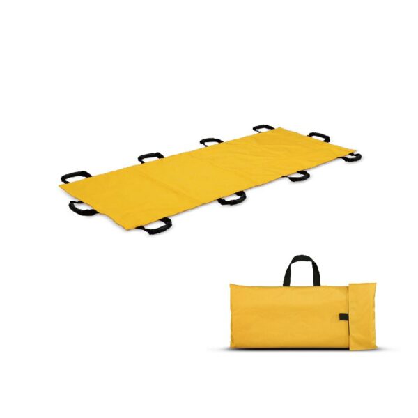 Mobilize CSR 801 Carrysheet 1