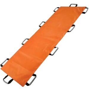 Mobilize CSR 801 Carrysheet