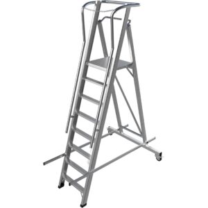 Aluminium Warehouse Ladder