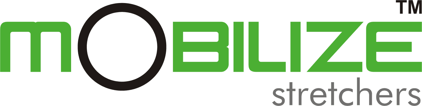 Mobilize Logo Png 1