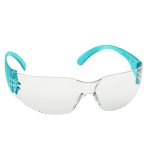 Venus E102 Safety Eyewear