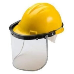 Helmet with Faceshield