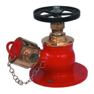 2.5-inch Gunmetal Fire Hydrant Valve