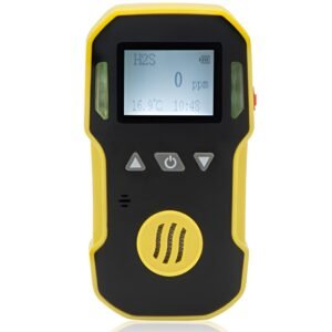 BH 90A portable single gas detector